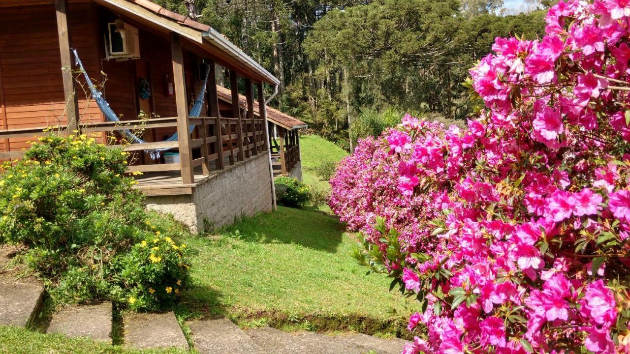 Estalagem Reserva Da Collina Грамаду Екстериор снимка